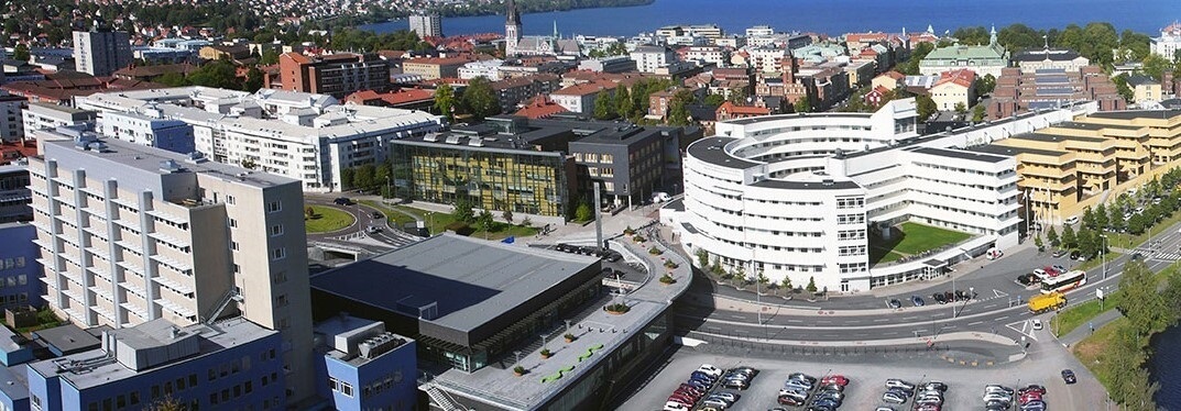 Jönköping University - Svédország